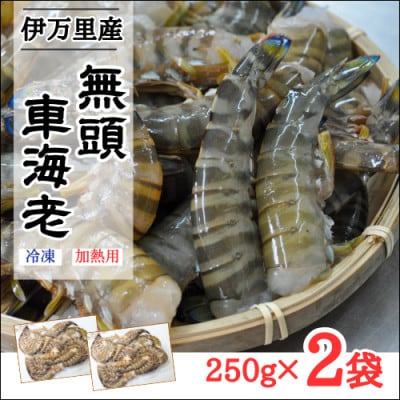 伊万里産【無頭】冷凍車海老(加熱用)250g×2pc