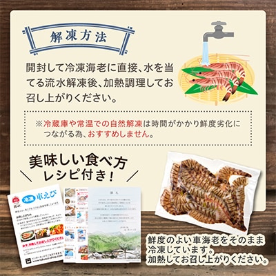 伊万里産【無頭】冷凍車海老(加熱用)250g×2pc