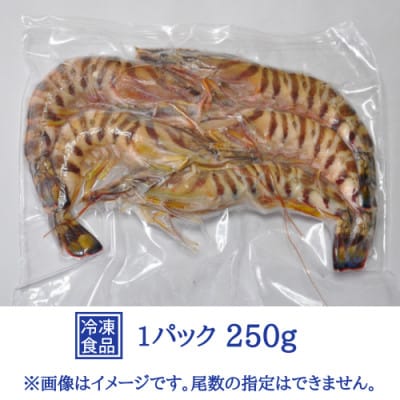 伊万里産 冷凍車海老(加熱用)2.5kg【訳あり】