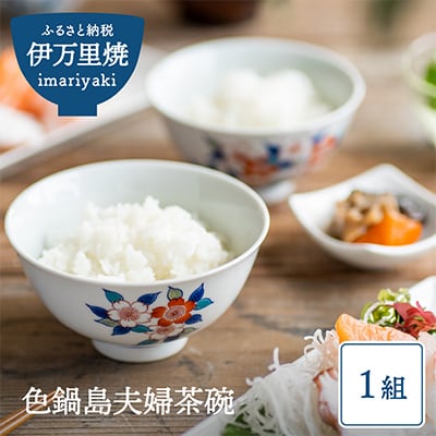 【伊万里焼】色鍋島夫婦茶碗