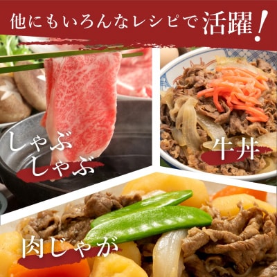 【伊万里牛】(A5)かた薄切り700g　J007