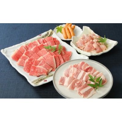 バラエティ美味 焼肉セット(牛肉 豚肉 鶏肉)1.1kg