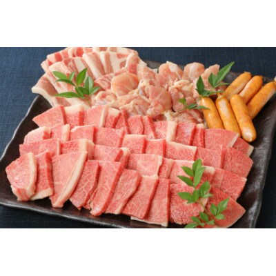 バラエティ美味 焼肉セット(牛肉 豚肉 鶏肉)1.1kg