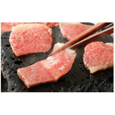 バラエティ美味 焼肉セット(牛肉 豚肉 鶏肉)1.1kg