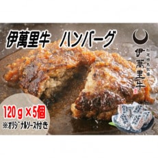 伊万里牛ハンバーグ5個入り