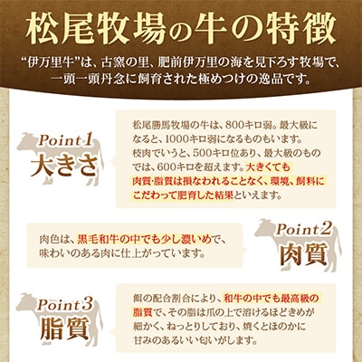 伊萬里牛赤身ステーキ　10枚(1.0kg)ソース2種付