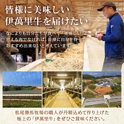 伊萬里牛赤身ステーキ　10枚(1.0kg)ソース2種付