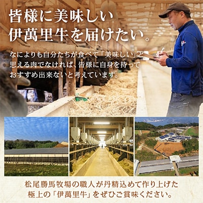 伊萬里牛赤身スライス　400g　特製すき焼きのたれ付き