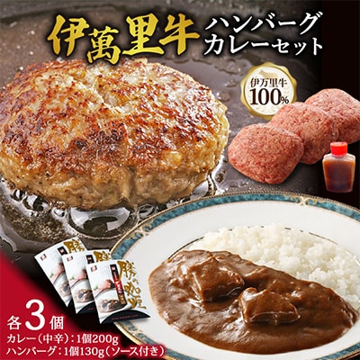 伊萬里牛100%　勝ハンバーグ130g・勝カレー各3個入り