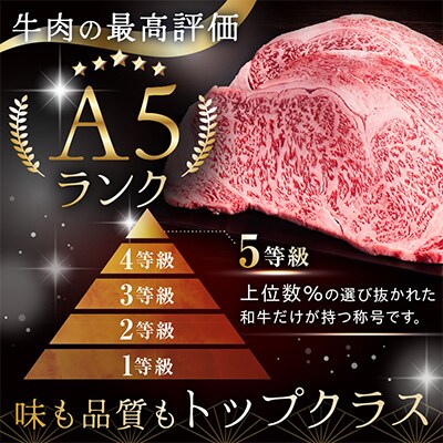 特選伊万里牛　手作りハンバーグ　　　　　　　　　　　150g　10個入