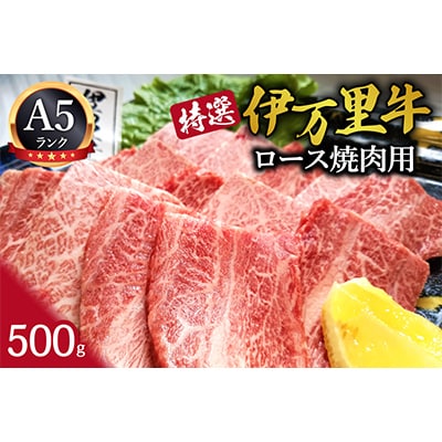 特選伊万里牛(A5)ロース焼肉用500g