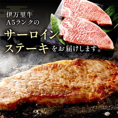 特選伊万里牛A5　霜降りサーロイン600g　(300g×2枚入)