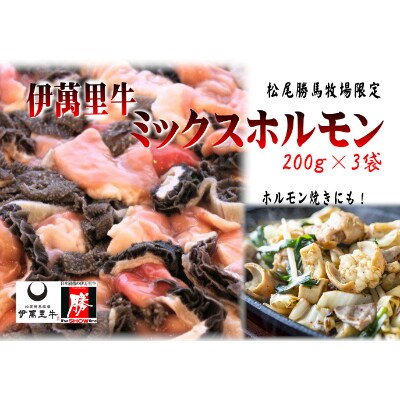 伊萬里牛ミックスホルモン　600g　特製タレ付き
