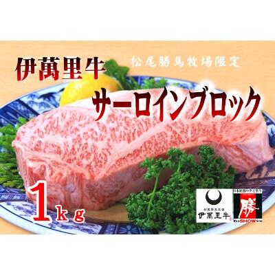 伊萬里牛サーロインブロック　1.0kg