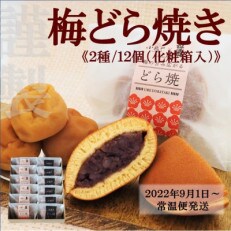 【常温便】梅どら焼き・どら焼き2種/12個(化粧箱入)【伊万里 小嶋や謹製】