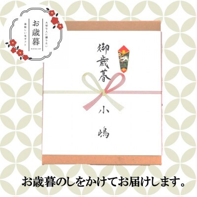 【お歳暮ギフト/のし付き・手提袋付/直送】≪冷凍≫小嶋やのどら焼き(3種10個入/謹製・白・梅)