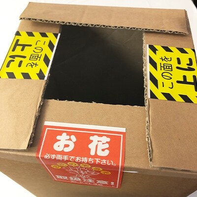 ブリキ缶入り季節のお花