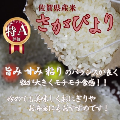 令和7年産 さがびより (無洗米)2kg×3袋(真空パック)お米マイスター厳選!