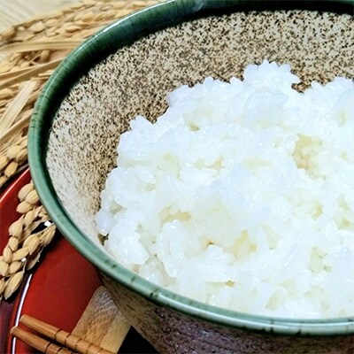 お米マイスター厳選!特A評価 さがびより (無洗米)2kg×3袋(真空パック)