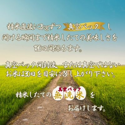 令和7年産 さがびより (無洗米)2kg×3袋(真空パック)お米マイスター厳選!