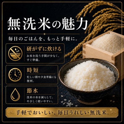 令和7年産 さがびより (無洗米)2kg×3袋(真空パック)お米マイスター厳選!