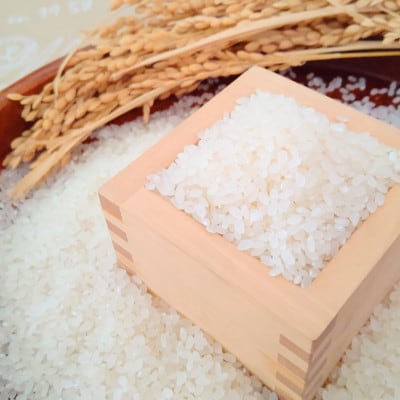【2023年7月下旬発送】【無洗米】夢しずく2kg×3袋(真空パック)