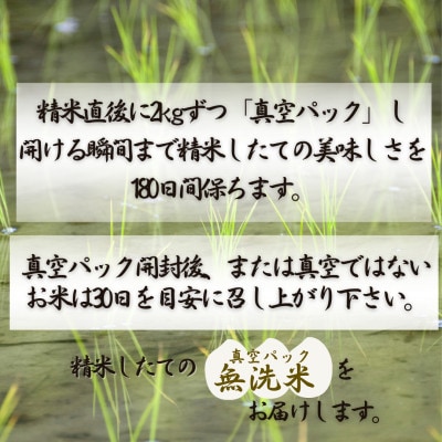 令和7年産 夢しずく(無洗米)2kg×3袋(真空パック)