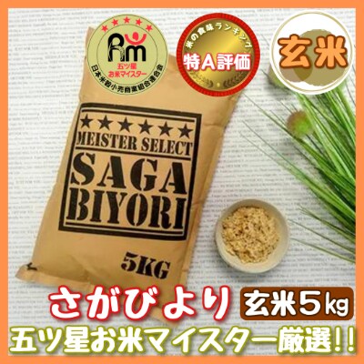 【玄米】 さがびより5kg【特A評価】《マイスターセレクト》