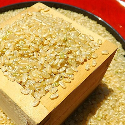 【玄米】《マイスターセレクト》夢しずく5kg【特A評価】
