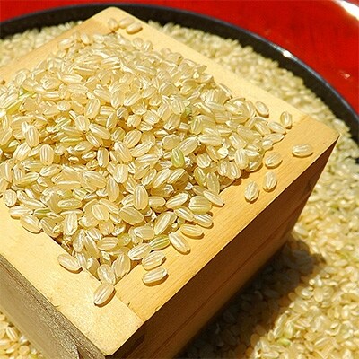 令和元年産10月発送 「夢しずく」玄米5kg《マイスターセレクト》【特A評価】