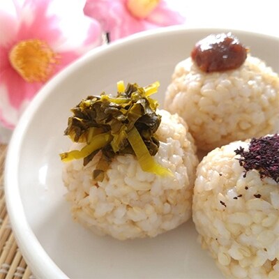 令和元年産10月発送 「夢しずく」玄米5kg《マイスターセレクト》【特A評価】