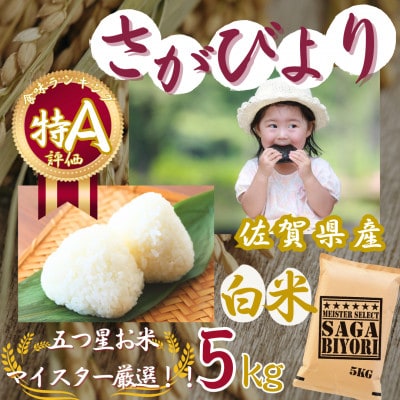 令和7年産さがびより【白米】5kg【特A評価】《マイスターセレクト》