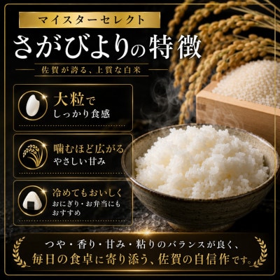 令和7年産さがびより【白米】5kg【特A評価】《マイスターセレクト》