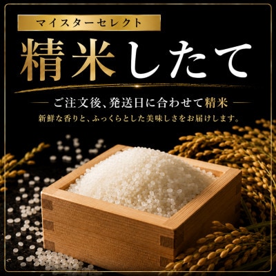 令和7年産さがびより【白米】5kg【特A評価】《マイスターセレクト》