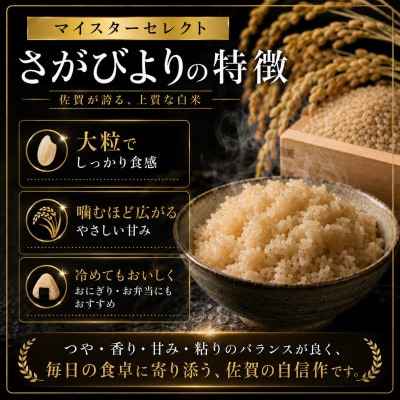 令和7年産【玄米】 さがびより5kg【特A評価】《マイスターセレクト》