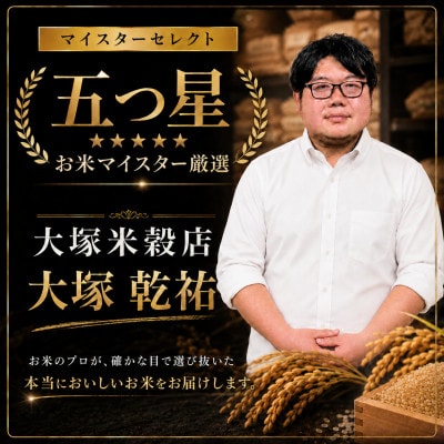 令和7年産【玄米】 さがびより5kg【特A評価】《マイスターセレクト》