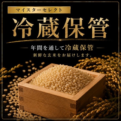 令和7年産【玄米】 さがびより5kg【特A評価】《マイスターセレクト》