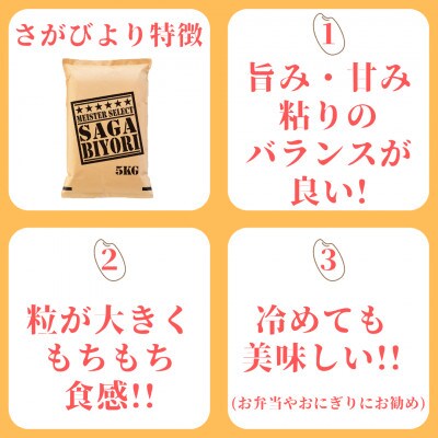 令和6年産【無洗米】さがびより 5kg 《マイスターセレクト》
