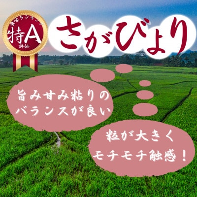 令和7年産『さがびより白米5kg』『夢しずく白米5kg』食べ比べ!!《計10kg》