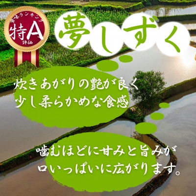 令和7年産『さがびより白米5kg』『夢しずく白米5kg』食べ比べ!!《計10kg》