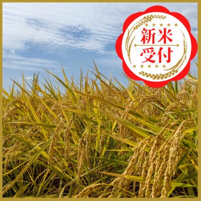 令和4年産『さがびより白米5kg』『夢しずく白米5kg』食べ比べ!!《計10kg》
