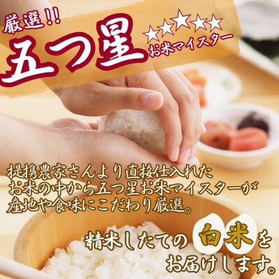 令和7年産さがびより【白米】10kg(5kg×2袋)【特A評価】《マイスターセレクト》(伊万里市)