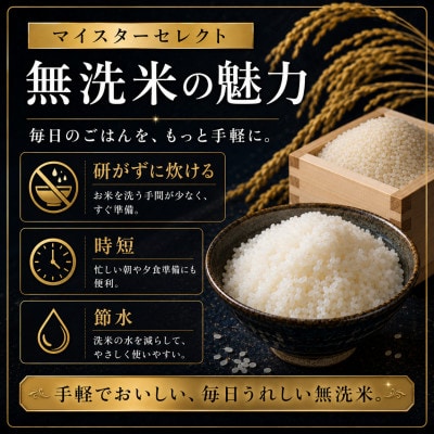 令和7年産【無洗米】さがびより 10kg(5kg×2袋) 《マイスターセレクト》(伊万里市)