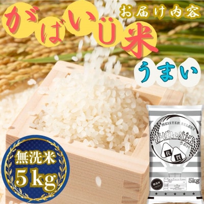 がばいU米(うまい) ブレンド米 【無洗米】5kg お米マイスター厳選(伊万里市)