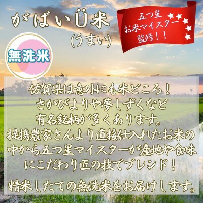 がばいU米(うまい) ブレンド米 【無洗米】10kg(5kg×2袋) お米マイスター厳選(伊万里市)