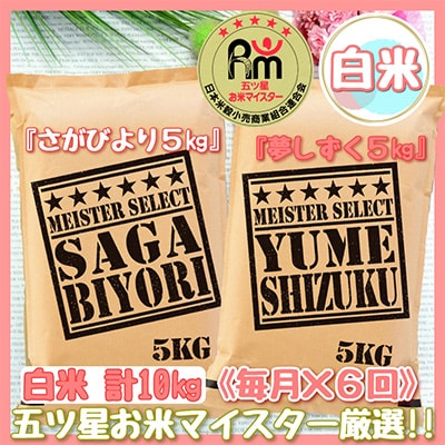 【毎月定期便】さがびより白米5kg・夢しずく白米5kg(計10kg)(伊万里市)全6回