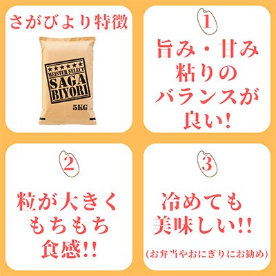 【毎月定期便】さがびより白米5kg・夢しずく白米5kg(計10kg)(伊万里市)全3回