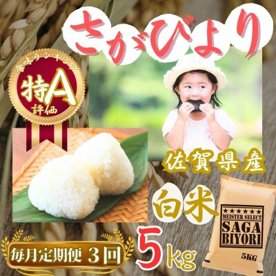 【毎月定期便】さがびより【白米】5kg【特A評価】《マイスターセレクト》(伊万里市)全3回