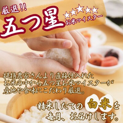 【毎月定期便】さがびより【白米】5kg【特A評価】《マイスターセレクト》(伊万里市)全3回