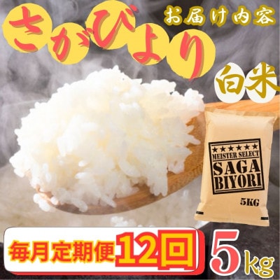 【毎月定期便】さがびより【白米】5kg【特A評価】《マイスターセレクト》(伊万里市)全12回